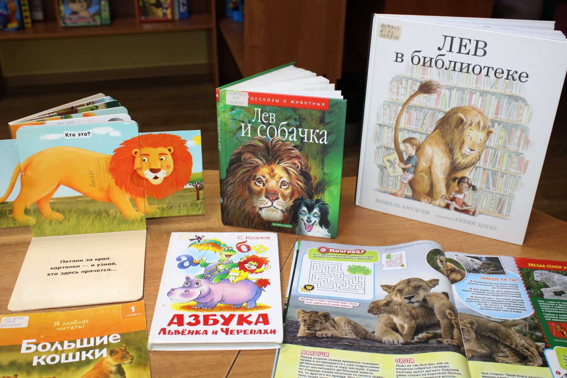 Август лев даты. День Льва 10 августа. Всемирный день Льва книги для детей. Всемирный день Льва. День Льва игровая программа.